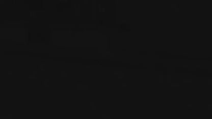 Estampa Urso Básico Marinho AMA Brusque